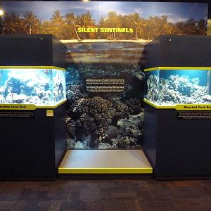 Climate Change Gallery