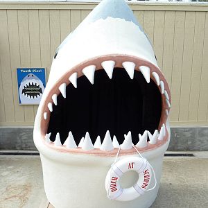 Shark Mouth