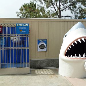 Shark Cage