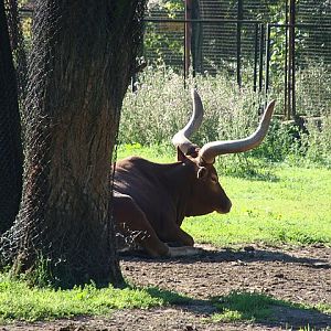Zoo Wrocław 21.08.2011