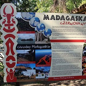 Zoo Wrocław 21.08.2011