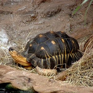 Zoo Wrocław 21.08.2011
