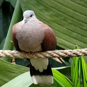 Zoo Wrocław 21.08.2011
