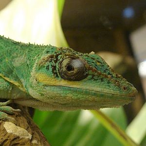 Zoo Wrocław 21.08.2011