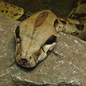 Zoo Wrocław 21.08.2011