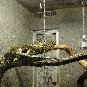 Zoo Wrocław 21.08.2011