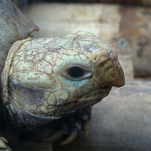 Zoo Wrocław 21.08.2011