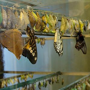 Zoo Wrocław 21.08.2011