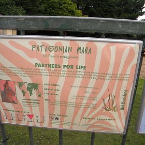 Example of new signage at Blackpool Zoo 21/08/11