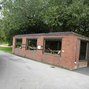 Kea enclosure at Blackpool Zoo 21/08/11