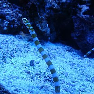 Zoo Wrocław 21.08.2011