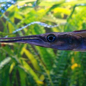 Zoo Wrocław 21.08.2011