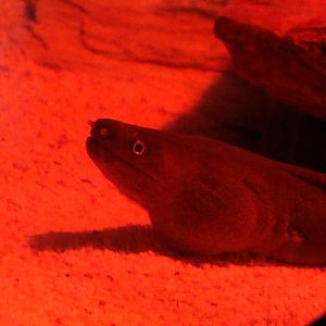 Zoo Wrocław 21.08.2011