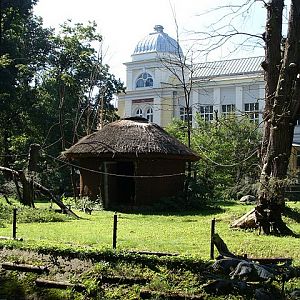 Zoo Wrocław 21.08.2011