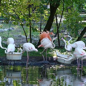 Zoo Wrocław 21.08.2011