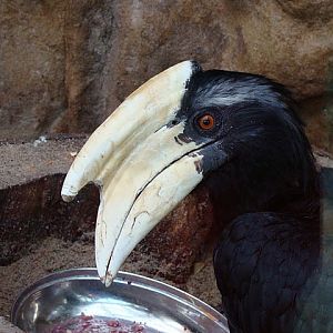 Zoo Wrocław 21.08.2011