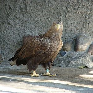 Zoo Wrocław 21.08.2011