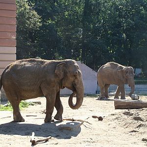Zoo Wrocław 21.08.2011