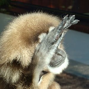 Zoo Wrocław 21.08.2011