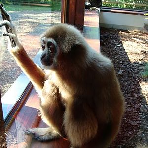 Zoo Wrocław 21.08.2011