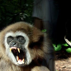 Zoo Wrocław 21.08.2011