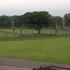 Plains of Africa - 04.08.2011