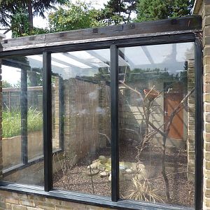 Aviary for lovebirds, cockatiels and Bourke's parrots