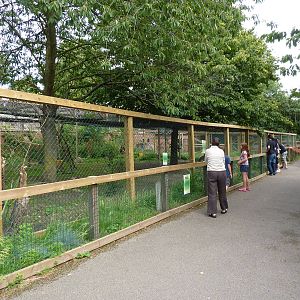 Mara and Wallaby enclosures