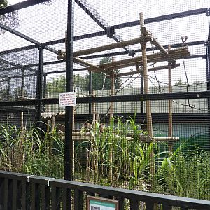 Capuchin enclosure