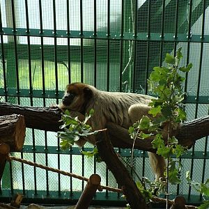 Zoo Wrocław 21.08.2011