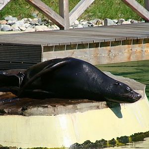 Zoo Wrocław 21.08.2011