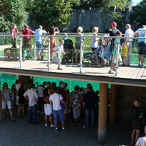 Zoo Wrocław 21.08.2011