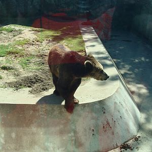 Zoo Wrocław 21.08.2011