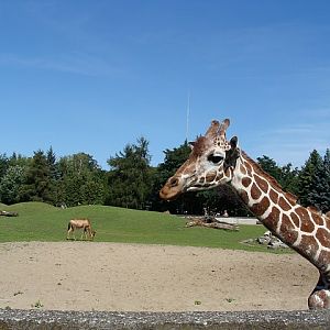 Zoo Wrocław 21.08.2011
