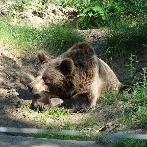 Zoo Wrocław 21.08.2011