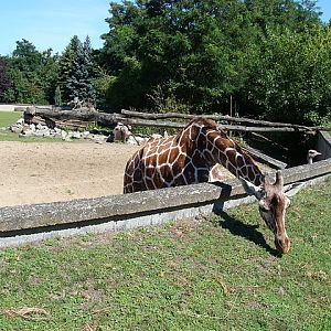 Zoo Wrocław 21.08.2011