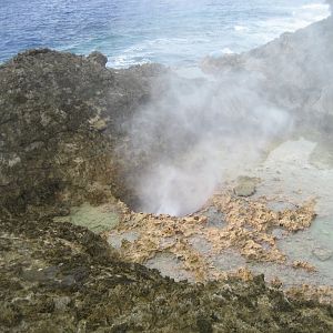 Blowhole