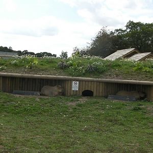 South America Iviva - 19.08.2011