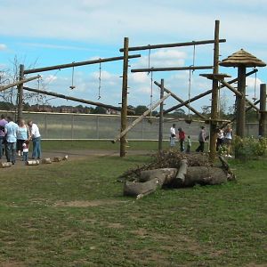 South America Iviva - 19.08.2011