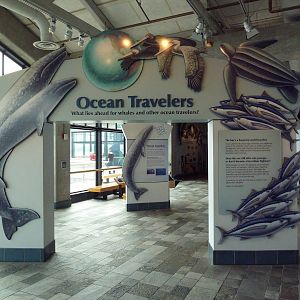Ocean Travelers Exhibit
