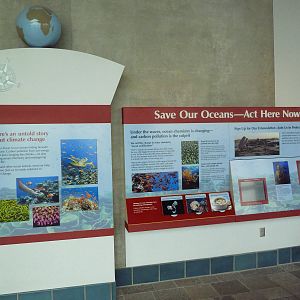 Ocean Travelers Exhibit