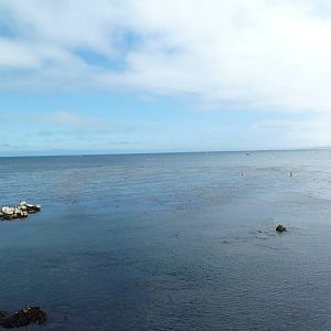 Aquarium Exterior - Pacific Ocean
