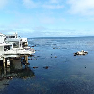 Aquarium Exterior - Pacific Ocean