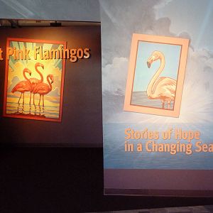 Hot Pink Flamingos - Entrance Sign