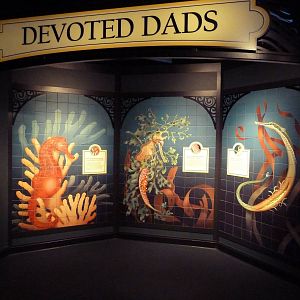 The Secret Lives Of Seahorses - Mural