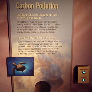 Vanishing Wildlife - Carbon Pollution Poster