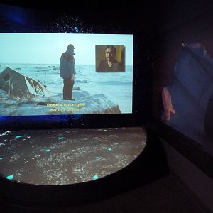 Hot Pink Flamingos - Video Screen