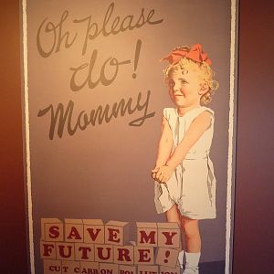 Hot Pink Flamingos - Climate Change Poster