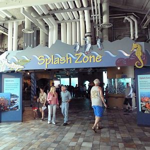 Splash Zone - Entrance