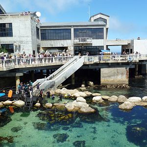 Aquarium Exterior - Great Tide Pool